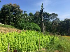 景点-黄色小屋