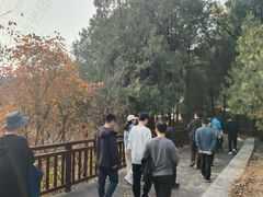 -拾光团建·拓展活动·旅游会议(东直门店)