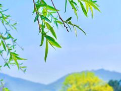 -玄武湖景区-情侣园游乐场