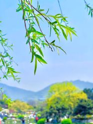-玄武湖景区-情侣园游乐场