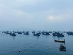 -海源公园