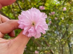 -仙山湖景区