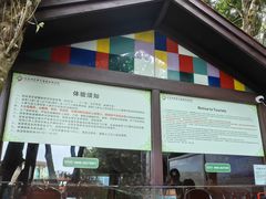 -亚龙湾热带天堂森林公园