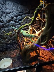 -未来动物城动物主题公园(大悦城店)