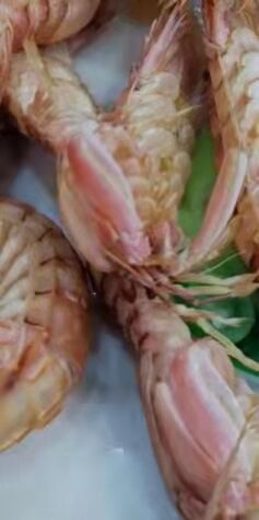 -望海潮海鲜店 特色家常菜(在海一方店)