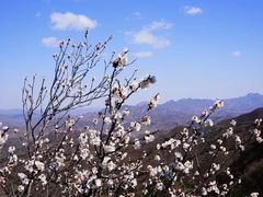 -蟠龙山长城景区