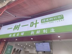 -一树一叶·福建茶档(石鼓路店)