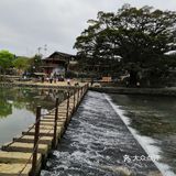 大风车和石头桥是电影云水谣取景地