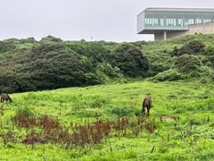 -涉地可支
