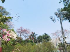 -中山公园
