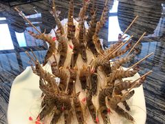 -大渔小鲜火锅店