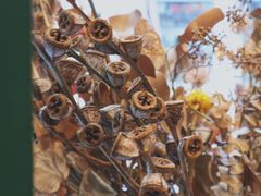 -Pie Bird(新闸路店)