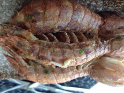 iphone_upload_pic-阳光五洲大酒店·宴会厅