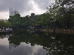 -晓港公园