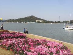-上海月湖雕塑公园