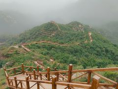 -大岭沟猕猴桃谷风景区