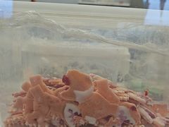 -CORNER CONE GELATO酷矿手作霜淇淋(南头古城店)