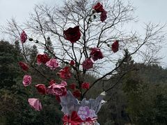 -梭布垭石林景区