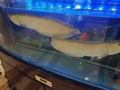-大方圆酒楼(新颜东路店)