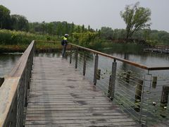 -昆山城市生态森林公园