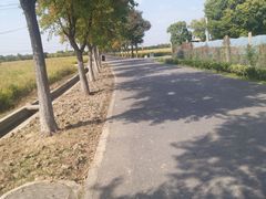 -嘉北郊野公园