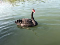 -昆山城市生态森林公园