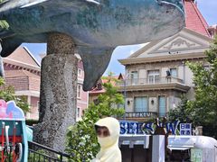 -烟台海昌鲸鲨海洋公园