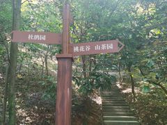 -中山市树木园