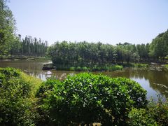 -东郊湿地公园