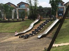 -铁山坪森林公园