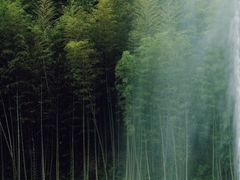 -千泷沟大瀑布旅游区