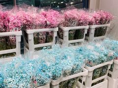 -盒马X会员店(上海森兰商都店)