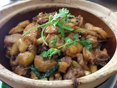 -绿雅居原生态农庄(小涌店)