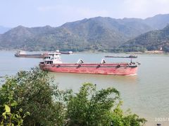 -羚羊峡古栈道森林公园