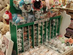 -猫的天空之城概念书店(杭州南宋御街店)