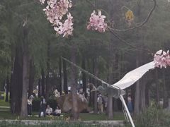 -四海公园(南山区)