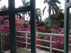 -三亚亚龙湾金棕榈度假酒店