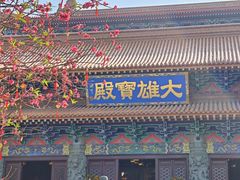 -天坛大佛