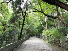 -吴山景区