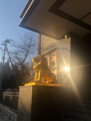 -中国黄金(北京旗舰店)