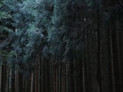 -山王坪喀斯特国家生态公园