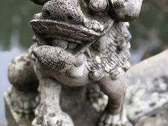 -普陀山风景名胜区-法雨禅寺