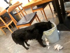 -欣达面馆(天桥支路店)