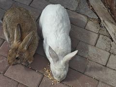 -水上乐园·欢乐世界