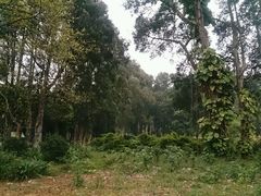 -广东外语外贸大学(白云山校区)