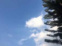 -碧水湾温泉