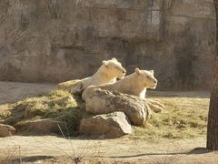-北京野生动物园