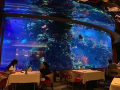 -迪拜帆船酒店海底餐厅