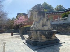 -报恩寺(平武县)