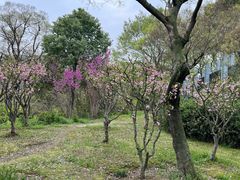 -宝界山林公园